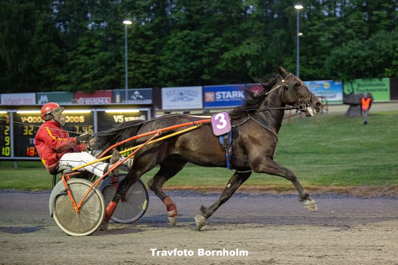 First Osiris med Michael Skovmose 24 juni 2025 Fotograf Torben Ager Travfoto Bornholm TKA 4514