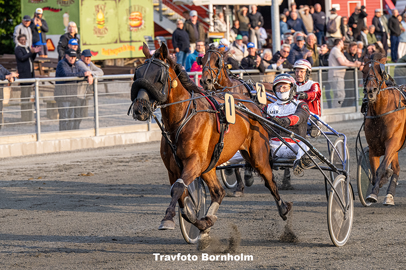Froens Hjortshoej med Niels Kristian Hansen 17 juni 2025 Fotograf Torben Ager Travfoto Bornholm TKA 2561