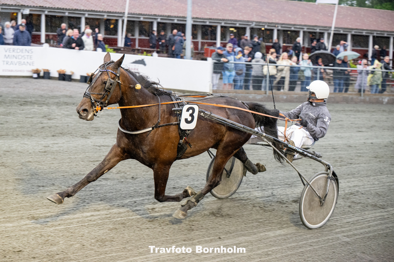 Hi Was The Night med Johnny Jessen 24 juni 2025 Fotograf Torben Ager Travfoto Bornholm TKA 4312
