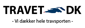 travetdk_logoh