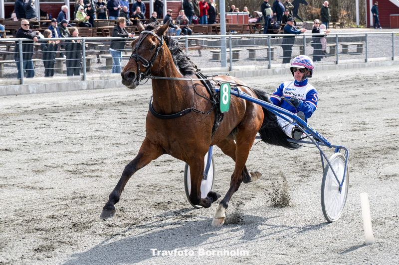 Cerosso med Nicllas Steinlain 19 april 2026 Fotograf Torben Ager Travfoto Bornholm TKA 9911