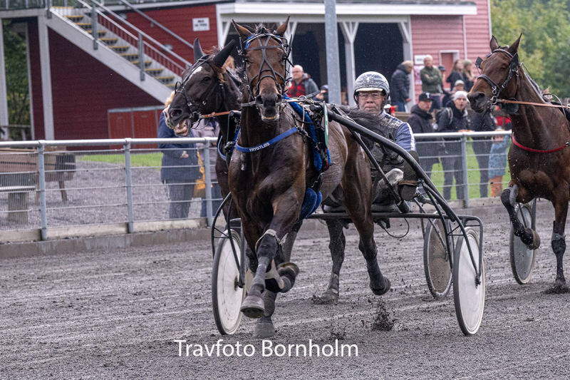 Frygtl s med Martin Sj holm Jensen 26 september 2026 Fotograf Torben Ager Travfoto Bornholm TKA 4404