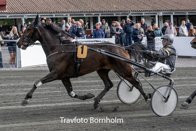 Leander Baunely med Kim Mortensen 26 september 2026 Fotograf Torben Ager Travfoto Bornholm TKA 4564