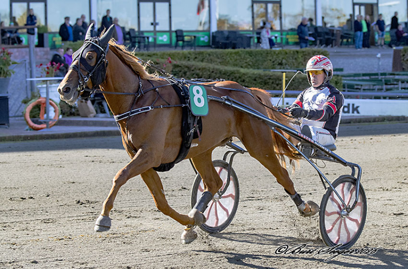 MAESTRO LUND S2 0916