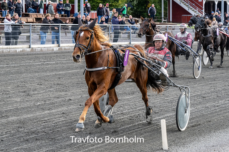 Marvellous Melody med John Gommans 26 september 2026 Fotograf Torben Ager Travfoto Bornholm TKA 4618