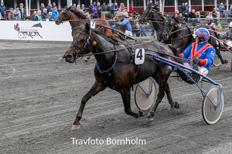 Peanut Onion med Kenn Christoffersen 26 september 2026 Fotograf Torben Ager Travfoto Bornholm TKA 4478