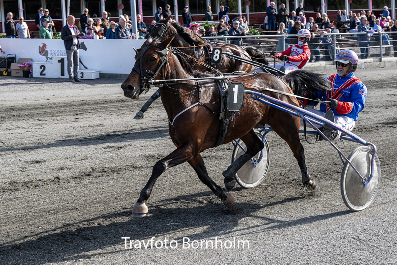 Beluga Onion med Kenn Christoffersen 3 oktober 2026 Fotograf Torben Ager Travfoto Bornholm TKA 5078
