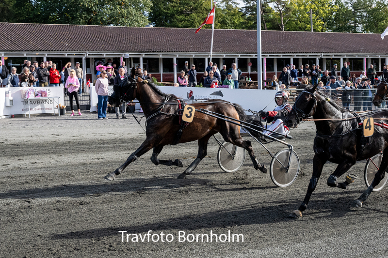 Fr ns Hjortsh j med Niels Kristian Hansen 3 oktober 2026 Fotograf Torben Ager Travfoto Bornholm TKA 5118