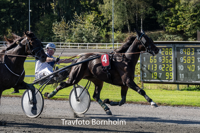 Karat Hill med Martin Sj holm Jensen 3 oktober 2026 Fotograf Torben Ager Travfoto Bornholm TKA 4958