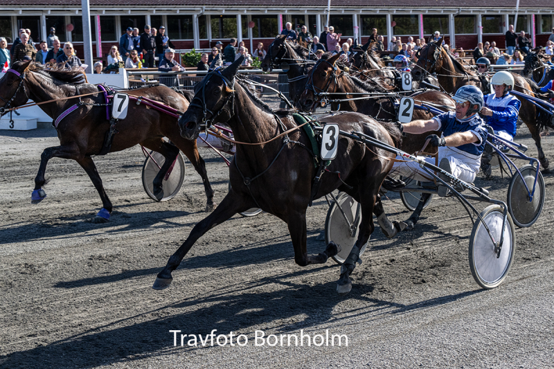 Kombucha med Martin Sj holm Jensen 3 oktober 2026 Fotograf Torben Ager Travfoto Bornholm TKA 5044