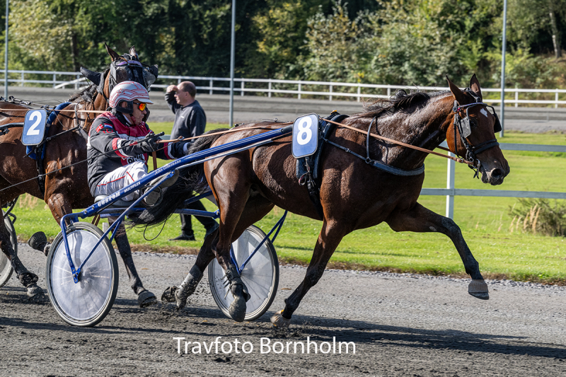 Pole Position Boko med John Gommans 3 oktober 2026 Fotograf Torben Ager Travfoto Bornholm TKA 4908