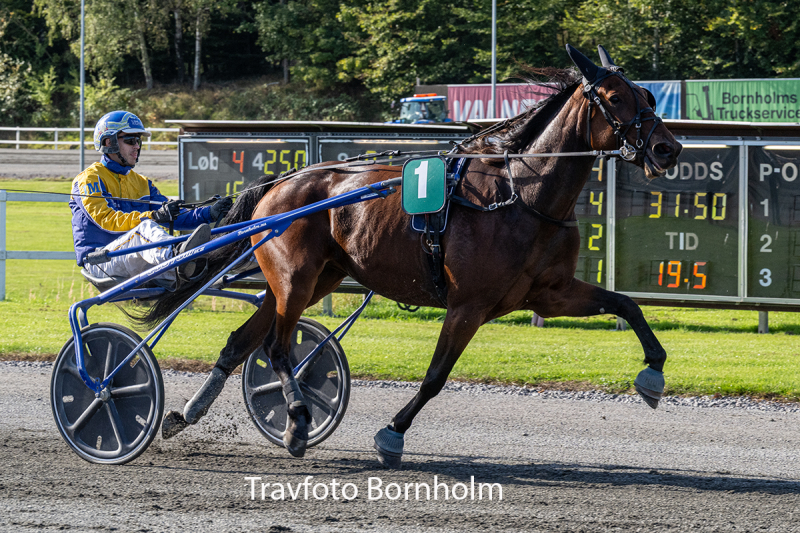 Sally Popp med Jonas Mikkelsen 3 oktober 2026 Fotograf Torben Ager Travfoto Bornholm TKA 5004