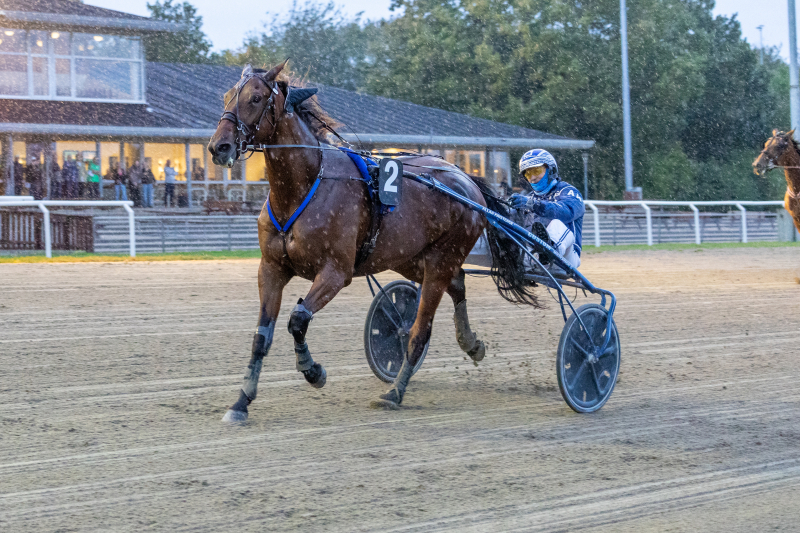 hugo spin