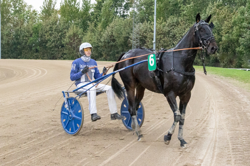 kaiser faust 4