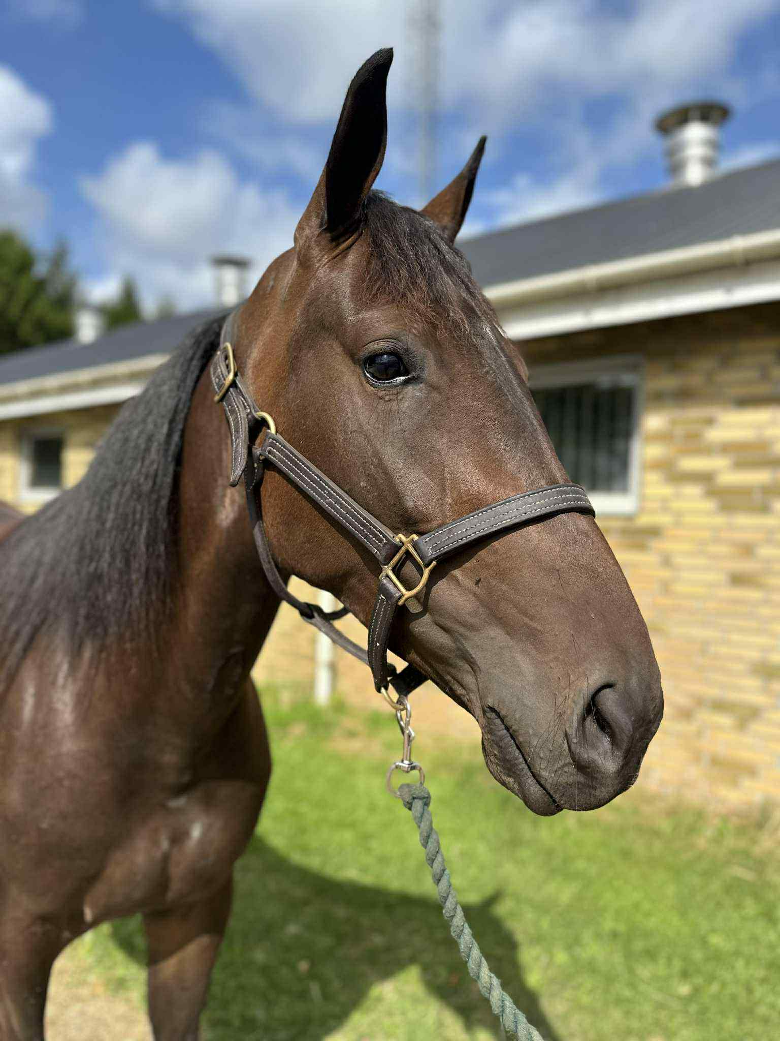 010b3d8b 89e6 41a5 bf00 f96656f36225