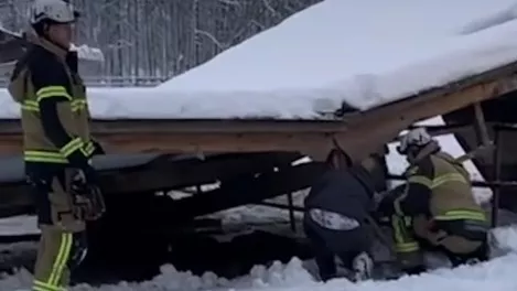 Kollapsede under sneen: Her blev hesten reddet 0773ad4cb1bb1