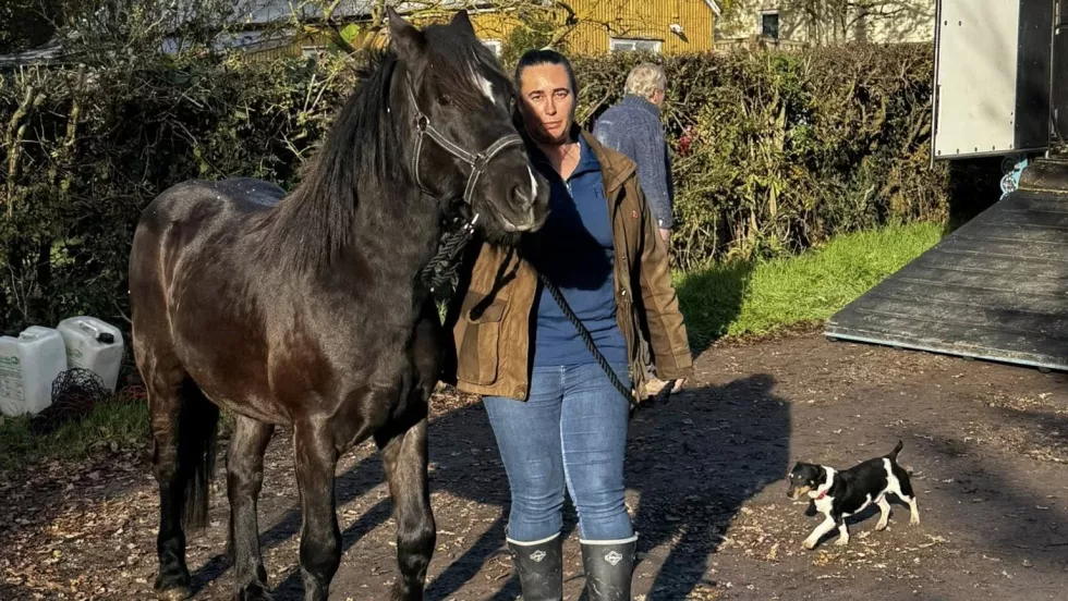 Risikerer ti års udelukkelse 07bb02ac7dcee