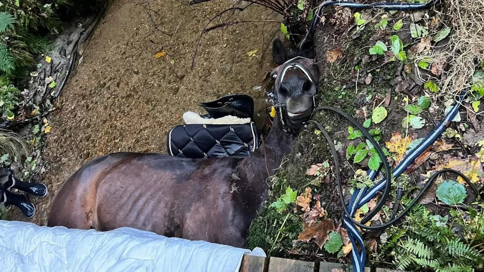 Dramatisk redningsaktion 0fa7947f02abb