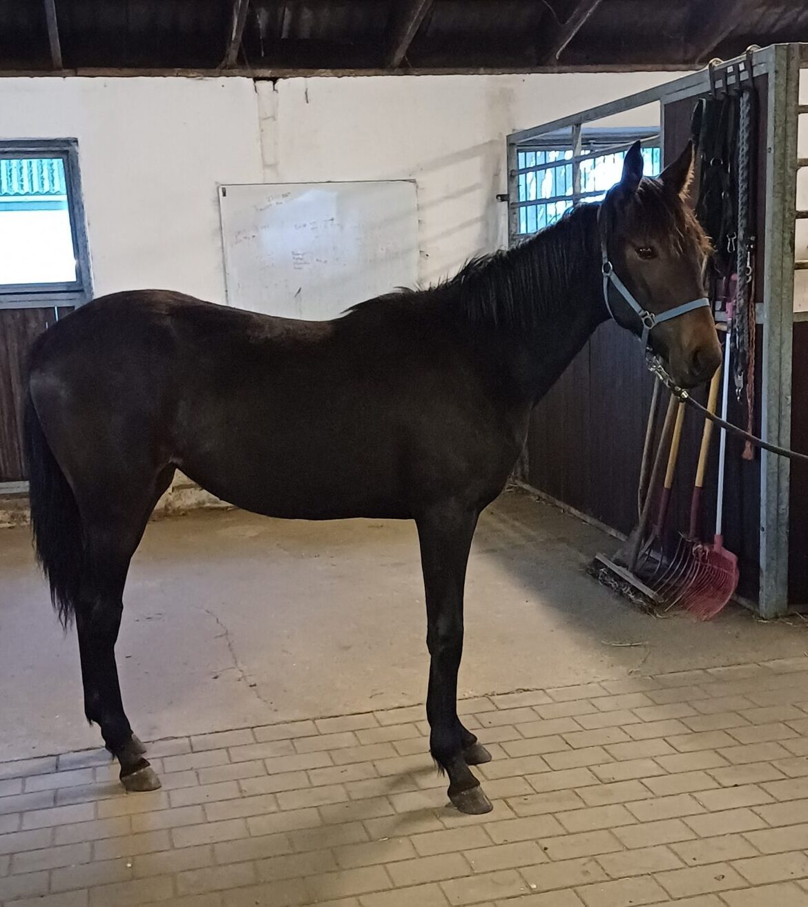 1000002811 scaled e1752942825257