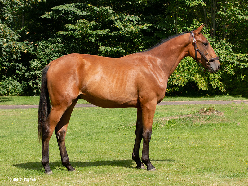 11 Luckisanattitude F1