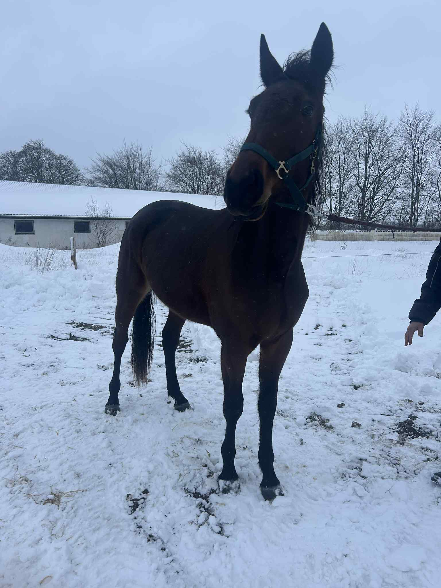 11e473ed 2520 497d 932f a9b1d0fc1153 1