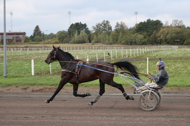 131916002 426650628376620 5040933754422312616 n 1