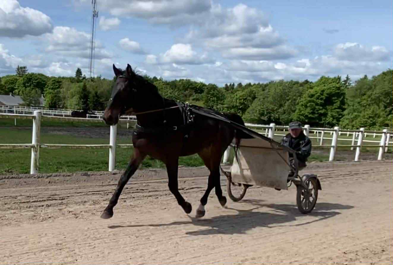 1708056b 6385 4ddf aecf 981ebb88af06