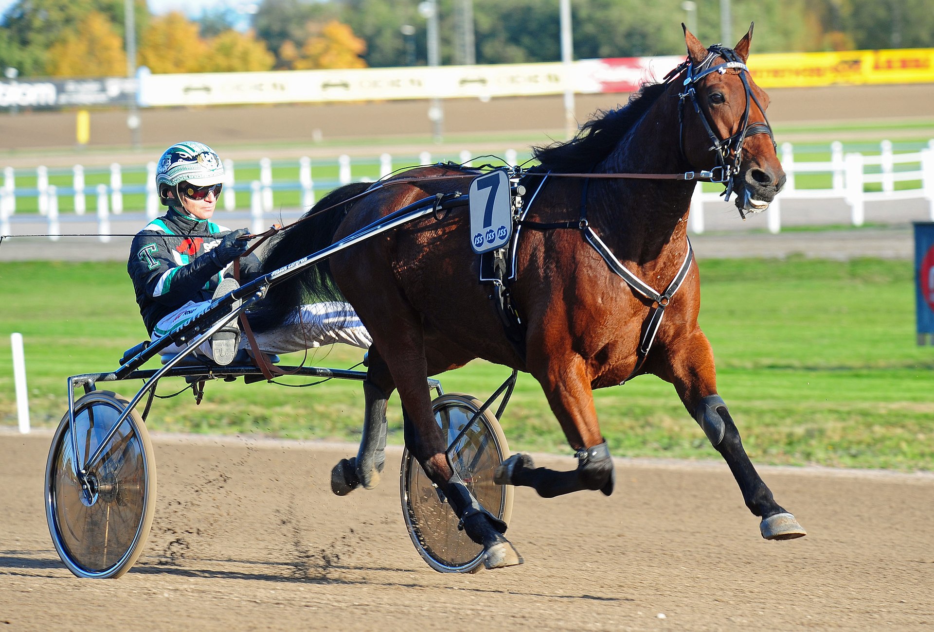 Verdensstjerne gæster Lunden (Opdateret) 1920px-Sanity_&_Johnny_Takter_2011