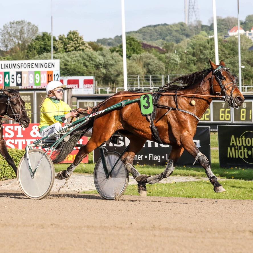 Profilartikel: Henriette Munk Boeck – Travsportens unge håb 192839859_1907736102735864_6526552557424279994_n