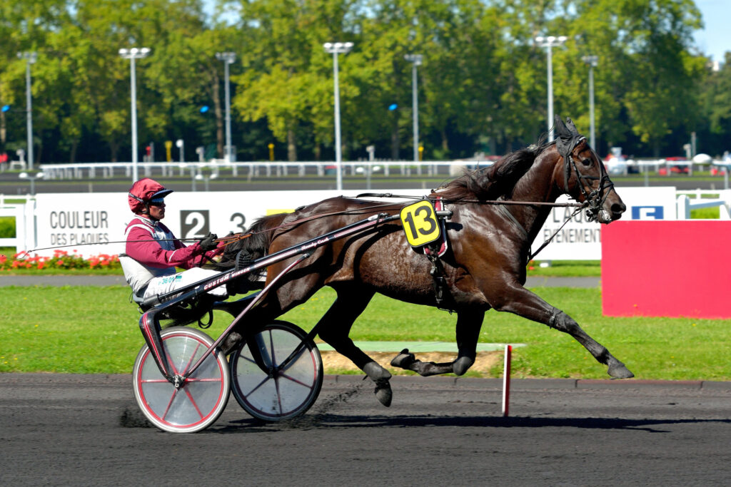 20130907 134254JLL 7073 scaled 9 1024x683 1