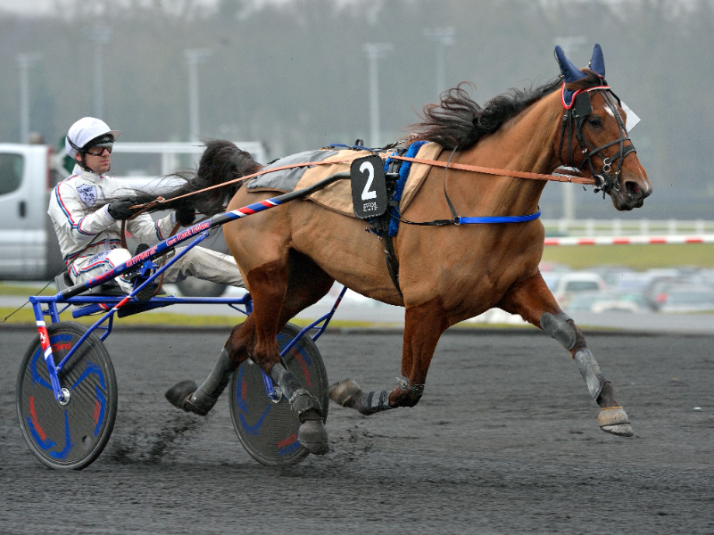 Et år siden Anna Mix' tragiske død - Fyrværkeri til debat 20170212_151335JLL_1890-800x600-1