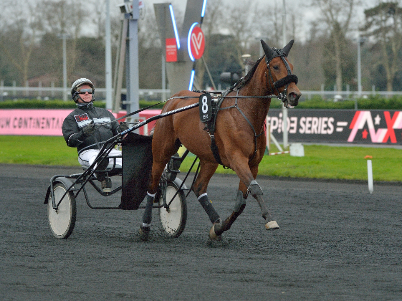 20171224 154833JLL 3654 800x600 1