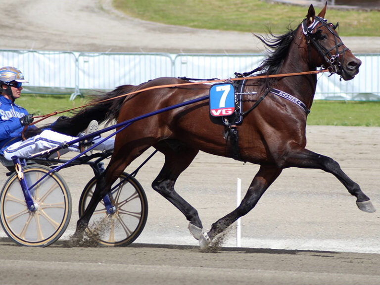 Bjoern Goop Ravenna 1