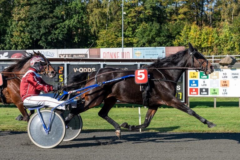 Capana Oestervang med Frank Mikkelsen 10 oktober 2021 Fotograf Torben Ager Travfoto Bornholm TKA 4189