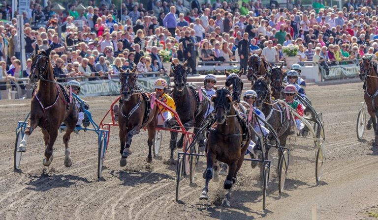 copenhagen cup 2013