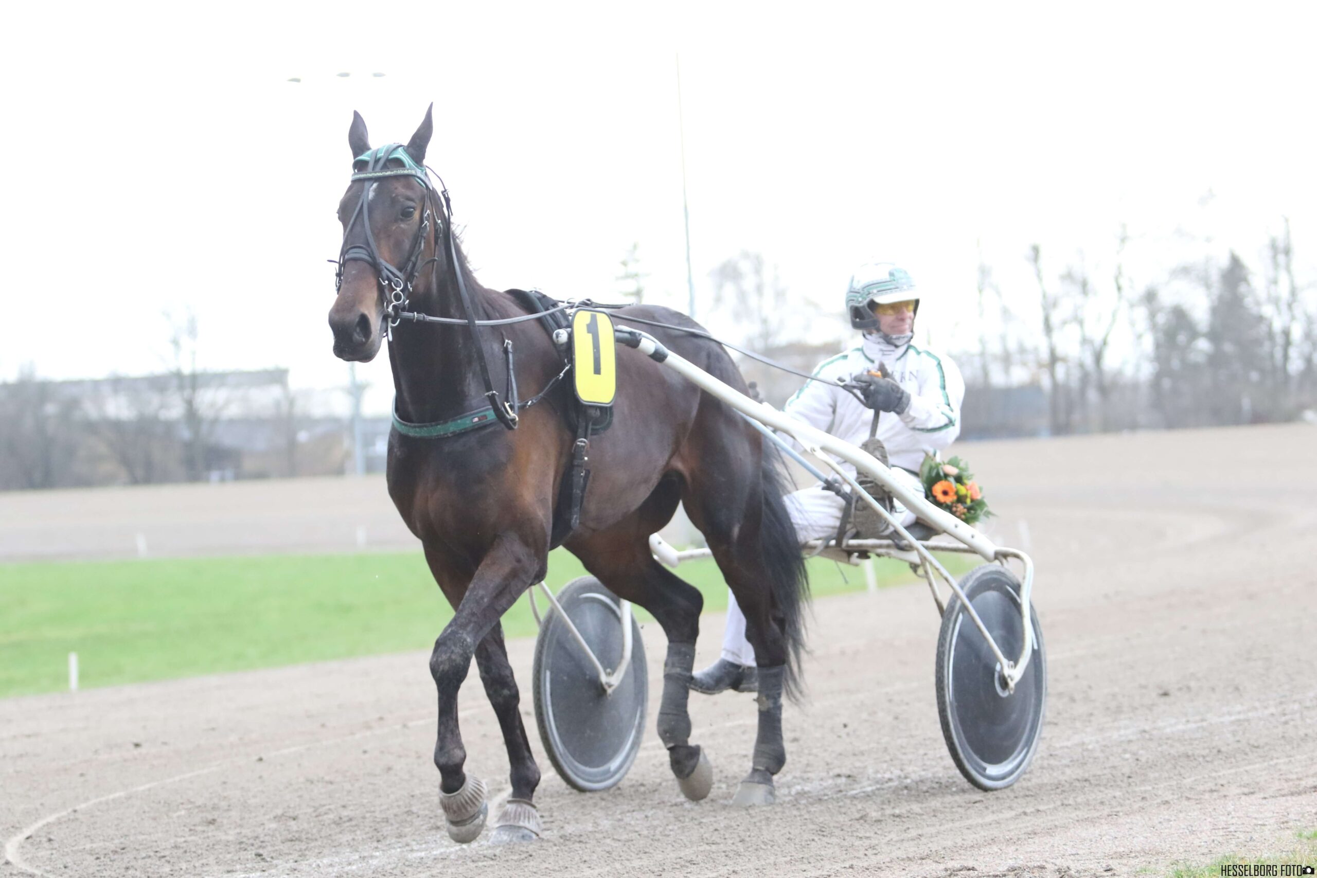 Jægersro – Vanvittig præstation af Enforalle P Enforalle p
