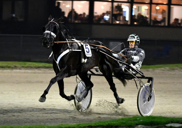 DiamondMerci 20191024 opl fo LJ 1