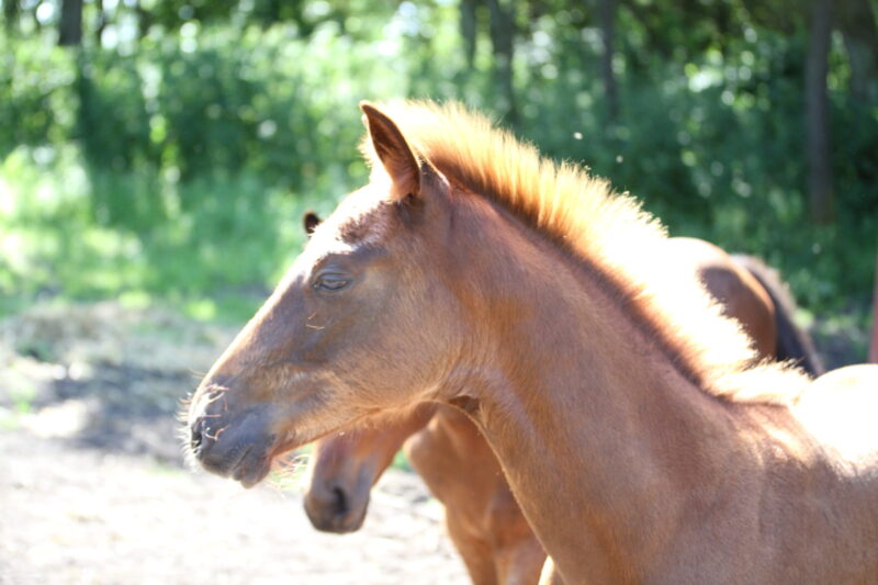 IMG 2341 scaled e1608299721594