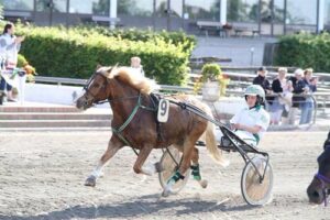 Rasmus Theis Henriksen 500x333