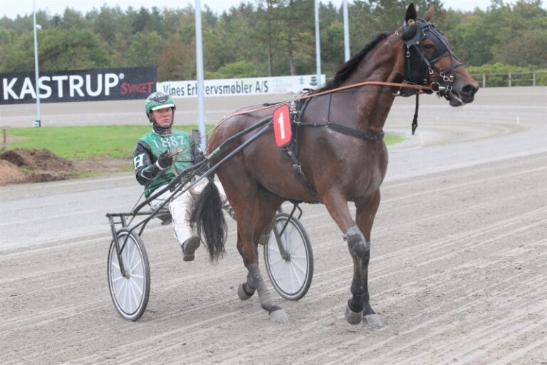 elvira damg rd1