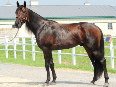 Avl - Explosive Matter aflivet explosive-matter-upst