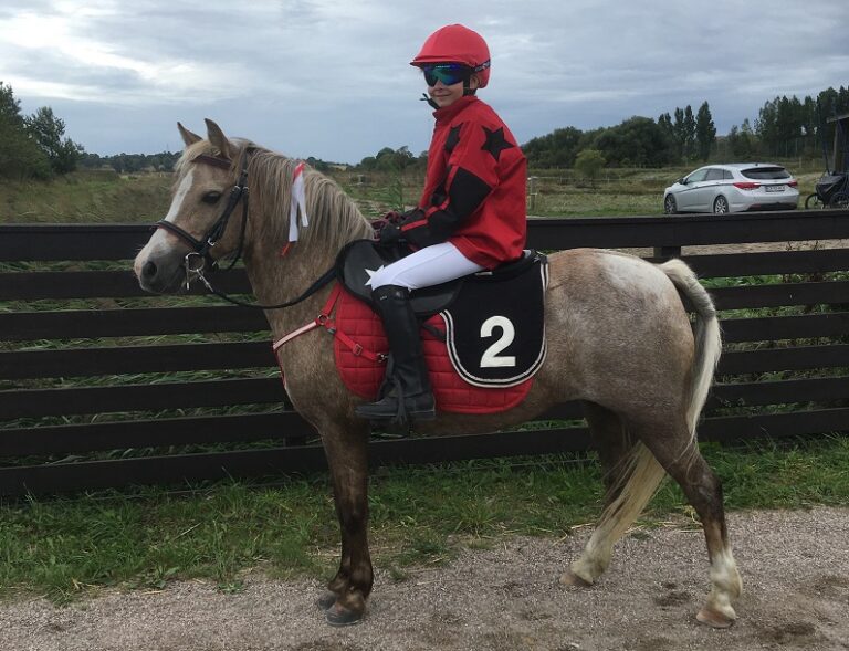 pony