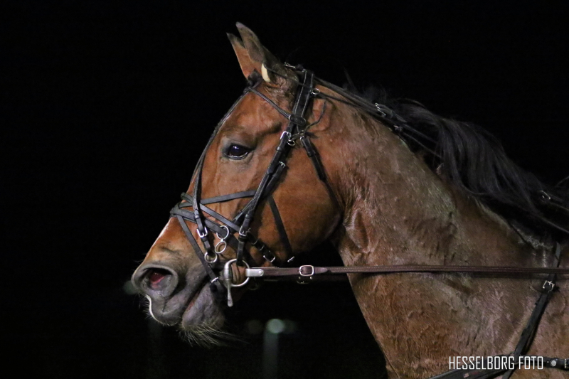 Twigs Briard