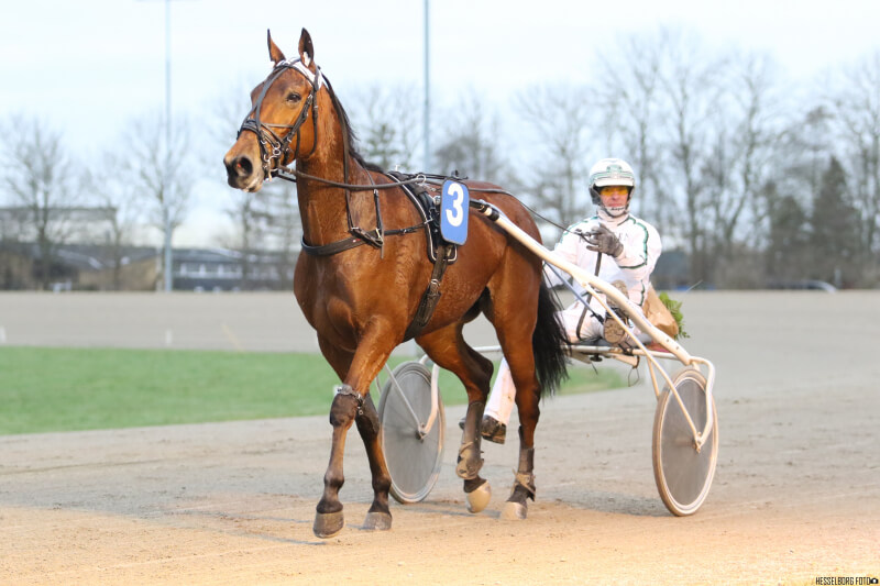 Hoppe Derby-deltager sejrede i Norge Elvira Damgård