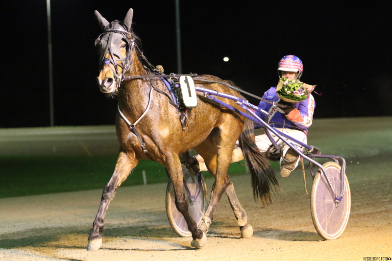 Aalborg – Del 1 sådan gik det Fancystne