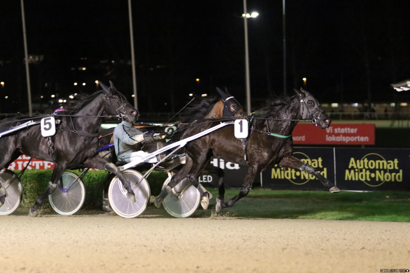 Del 2 Sådan gik det i Aalborg 3M1A1386