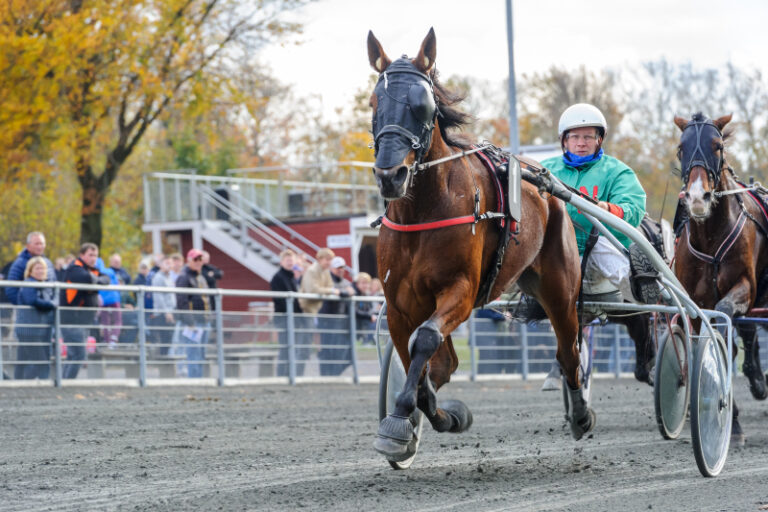 Aero U N G med Lena Mari N rregaard 20 oktober 2018 Fotograf Torben Ager Travfoto Bornholm TKA 6537