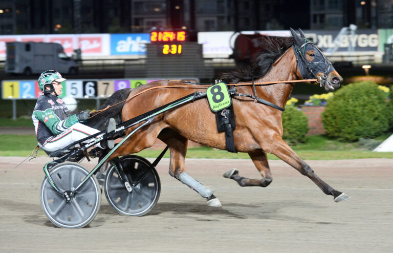 Apppaloosa heat 155 scaled 1