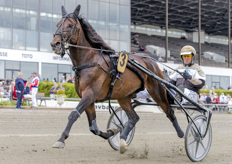 DONTPAYTHEFERRYMAN 11I4415