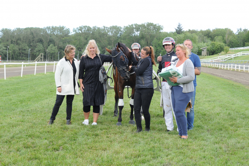 Skive - Vender tilbage efter tre måneder Excellent Prince